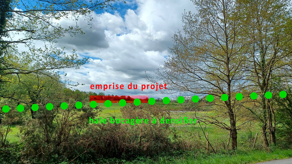 20240417_130719